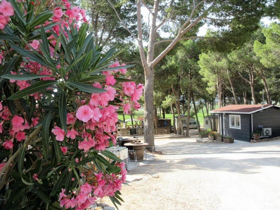 Camping Le Bois De Pins Salses-le-Chateau Exterior photo